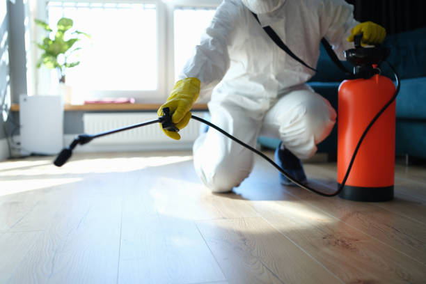 Reliable Biohazard contractor in Springfield, NJ by Crime Scene Cleaner Online